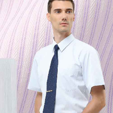 富-條紋襯衫(長袖、短袖)