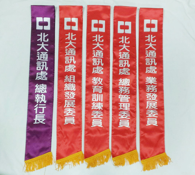 蒂-選舉活動背帶